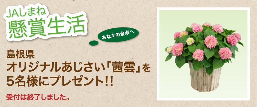 受付終了 懸賞生活 4月のプレゼント