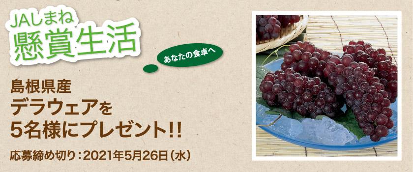 懸賞生活 5月のプレゼント