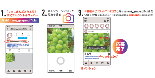 図.png