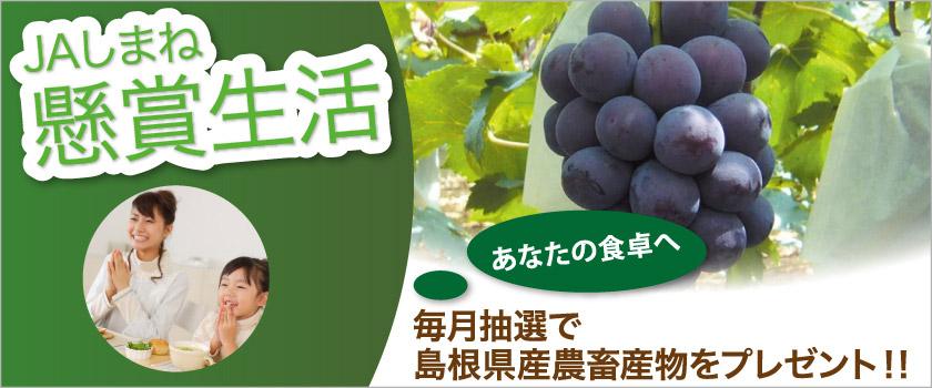 【懸賞生活】毎月抽選で島根県産農畜産物をプレゼント!!