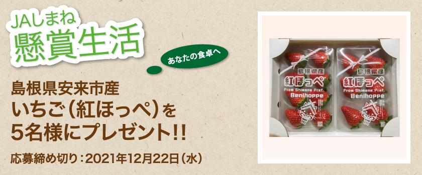 懸賞生活 12月のプレゼント