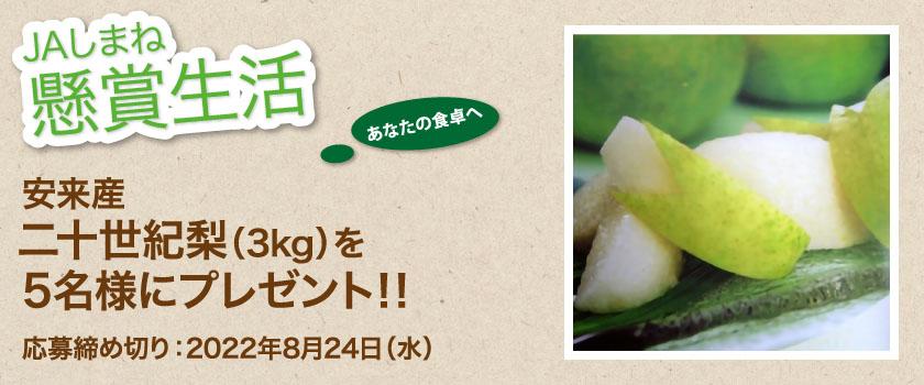懸賞生活 8月のプレゼント