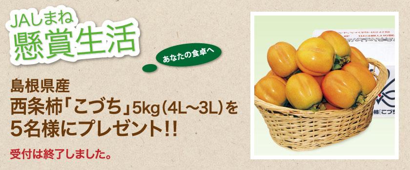 受付終了 懸賞生活 10月のプレゼント こづち