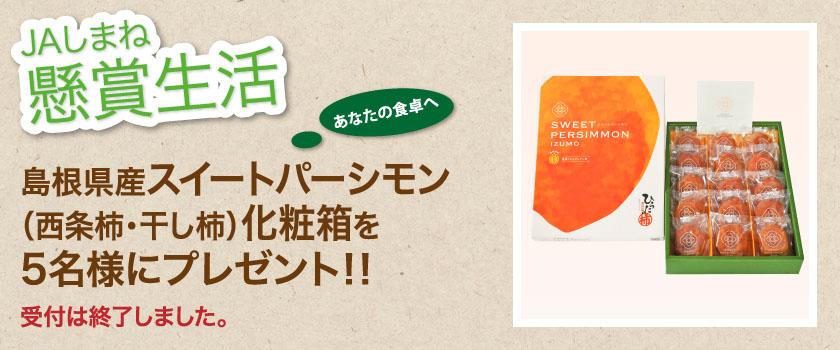 受付終了　懸賞生活　11月のプレゼント　スイートパーシモン