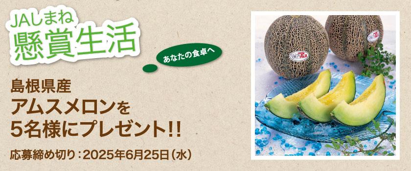 懸賞生活 6月のプレゼント「島根県産アムスメロン」