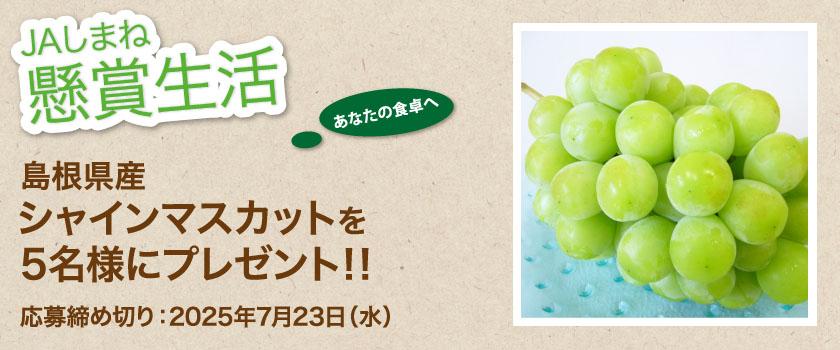 懸賞生活　7月のプレゼント　シャインマスカット