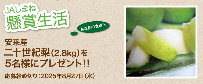 懸賞生活 8月のプレゼント 安来産「二十世紀梨」