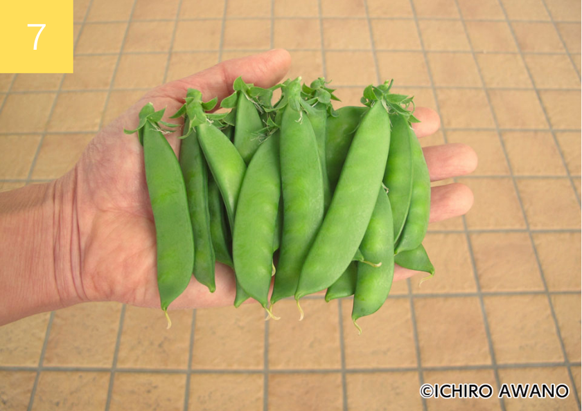 p17_09container_08.png
