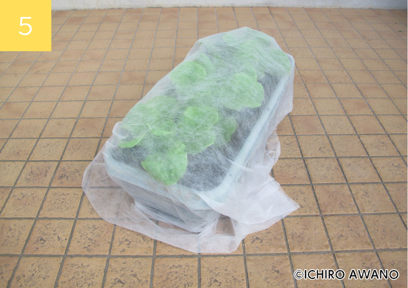 p17_container_2510_05_4c.png