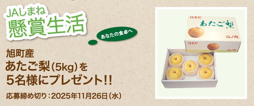 懸賞生活 11月のプレゼント あたご梨
