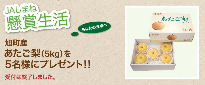 受付終了 懸賞生活 11月のプレゼント あたご梨
