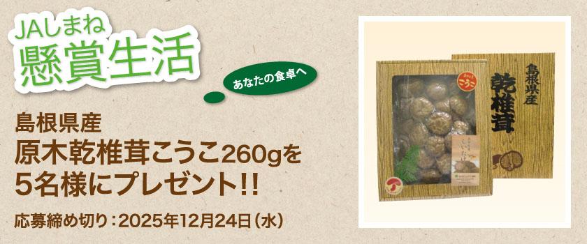 懸賞生活　12月のプレゼント　こうこ