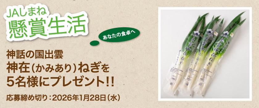 懸賞生活　1月のプレゼント　神在ねぎ