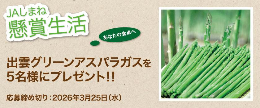 懸賞生活 3月のプレゼント 出雲グリーンアスパラガス