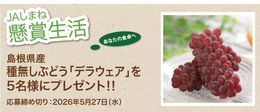 懸賞生活　5月のプレゼント「デラウェア」