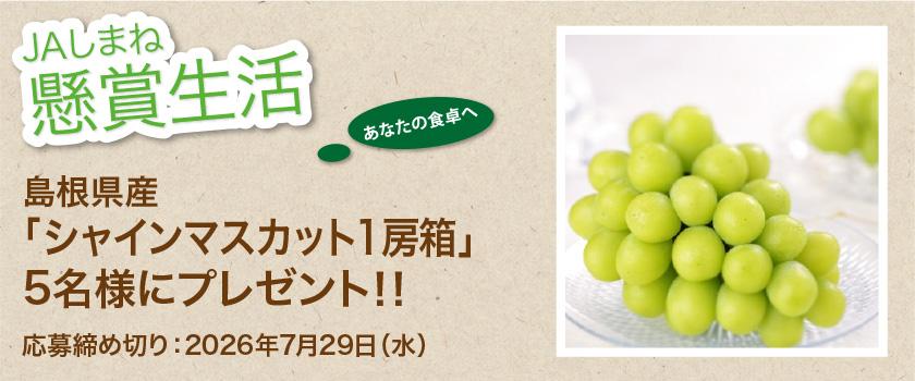 懸賞生活　7月のプレゼント 島根県産「シャインマスカット１房箱」