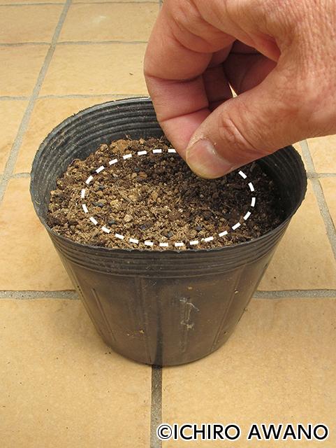 p09_container_web_2607_01.jpg
