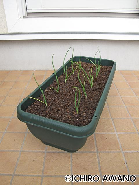 p09_container_web_2607_05.jpg