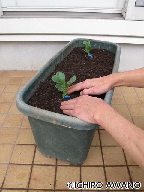 p09_container_web_2608_03.jpg
