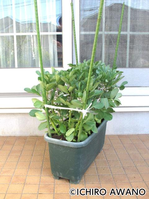 p09_container_web_2608_07.jpg
