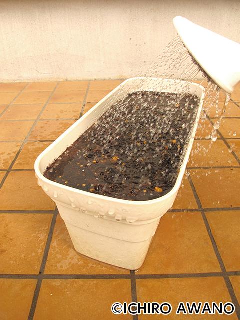 p09_container_web_2610_03.jpg