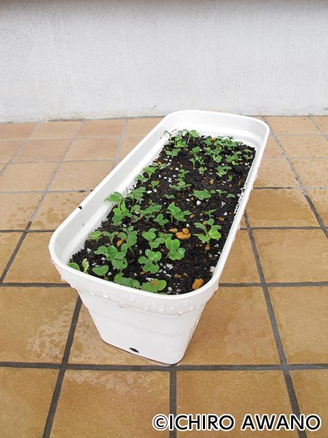 p09_container_web_2610_04.jpg