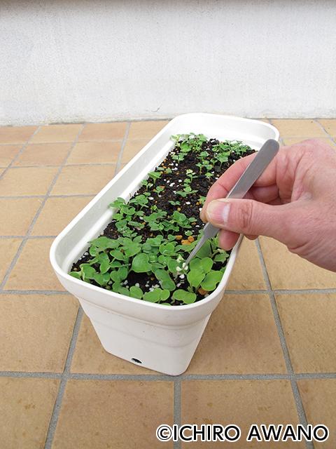 p09_container_web_2610_05.jpg