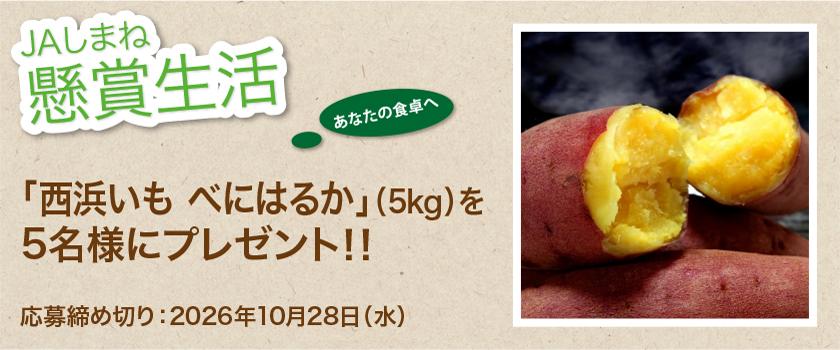 懸賞生活　10月は「西浜いも べにはるか」が当たる！